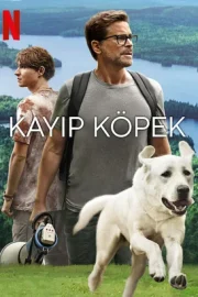 Kayıp Köpek